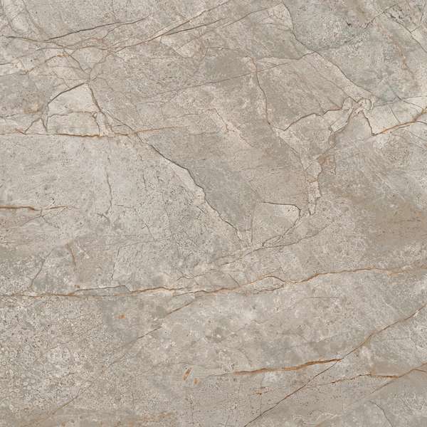 Silver Root 60x60 (600x600)