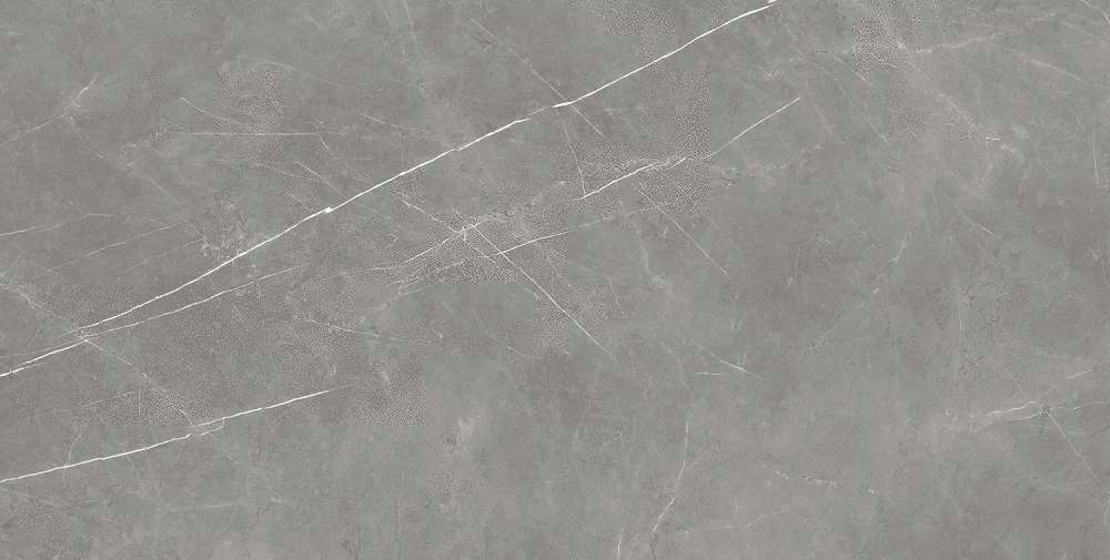 Elegant Grey Rett 60x120 Cerato (1200x600)