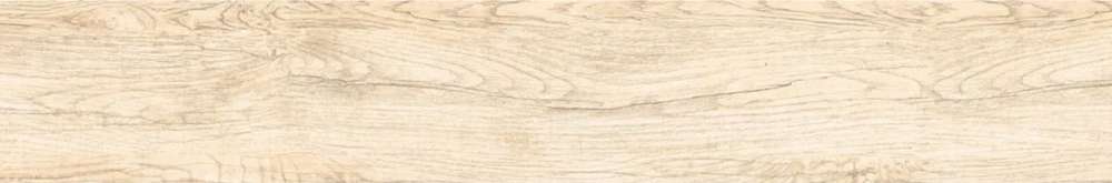 Avroria Celtis Crema  12020 -2