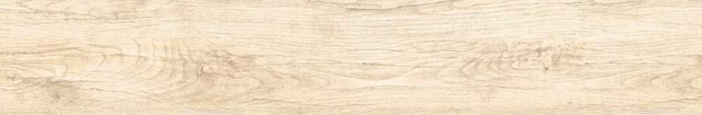 Avroria Celtis Crema  12020 -3