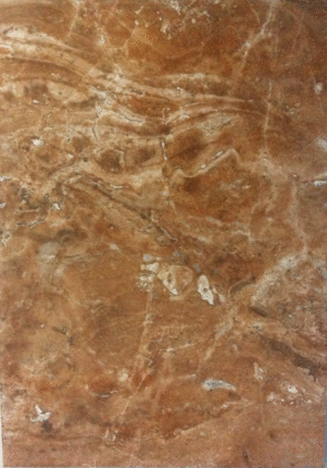 Axima  Beige dark