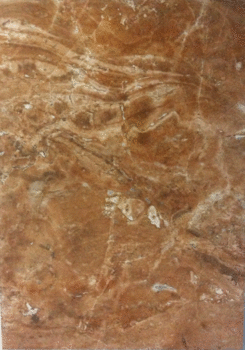 Beige dark (250x350)