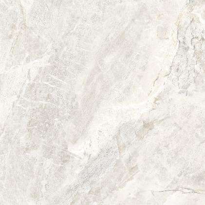 Axima Reims - 60x60
