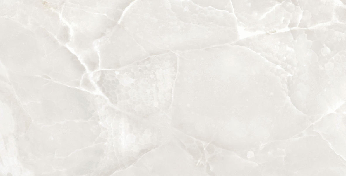 Onyx White Glossy 60120 (1200x600)