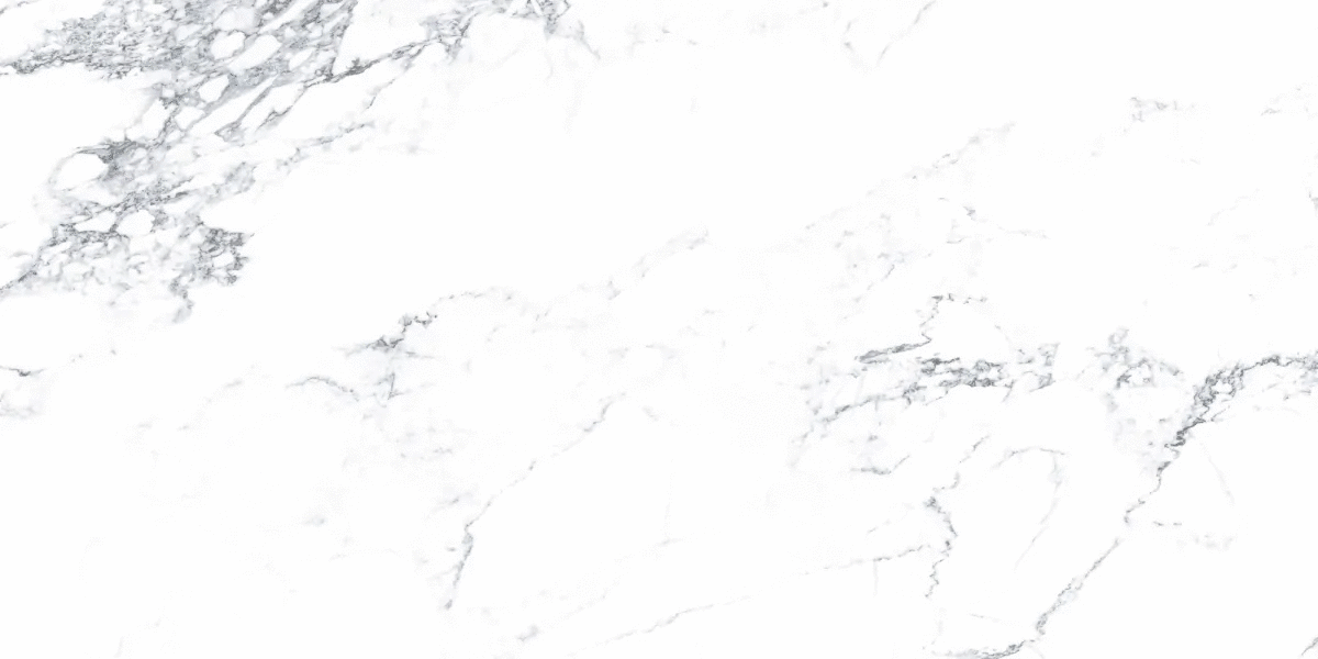 Azario Calacatta Aura Grey Glossy 60120 -4