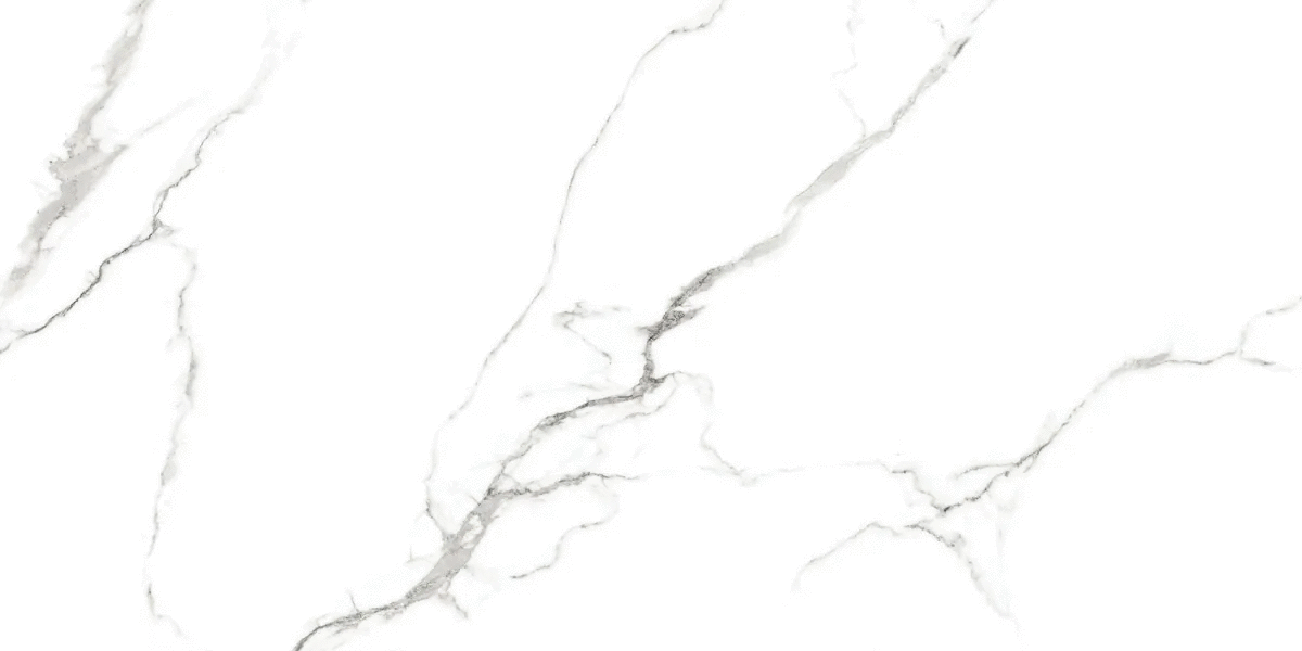 Azario Canova White Sugar 60120 -2