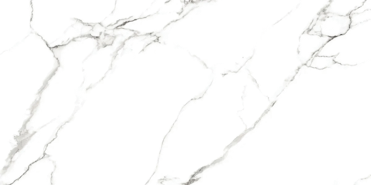 Azario Canova White Sugar 60120 -5