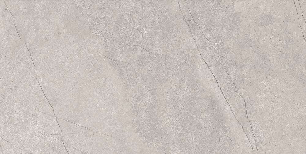 Azario Fossil Grey 60x120 Matt -3