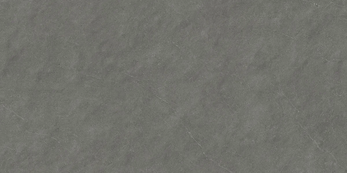 Gris Cotta Punch 80160 (1600x800)