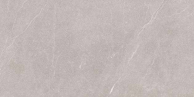 Gris 63x31.5 (630x315)