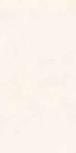 Light 31.5x63 (315x630)