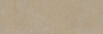 Taupe (1000x333)