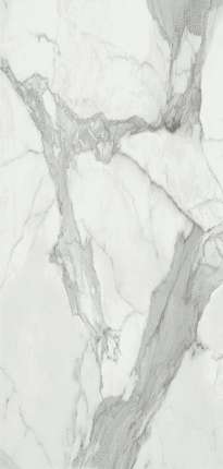 Baldocer Invictus Pulido A 120x260
