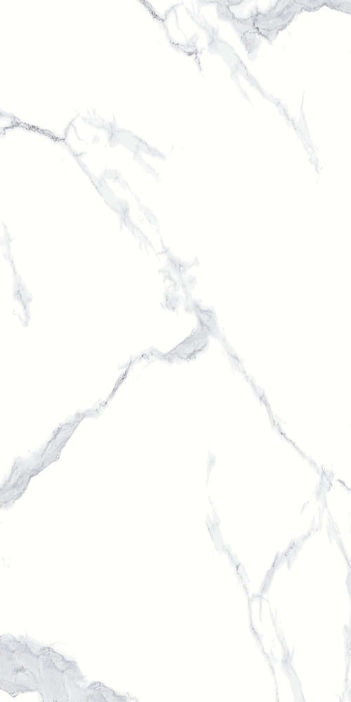 Basconi Home Calacatta White Full Body Polished (Sinking Ink) 60x120 -2