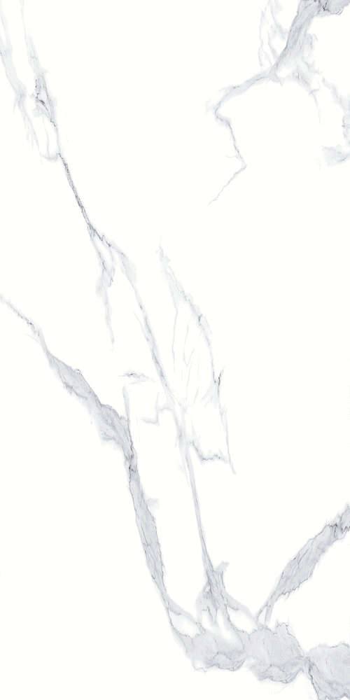 Basconi Home Calacatta White Full Body Polished (Sinking Ink) 60x120 -3