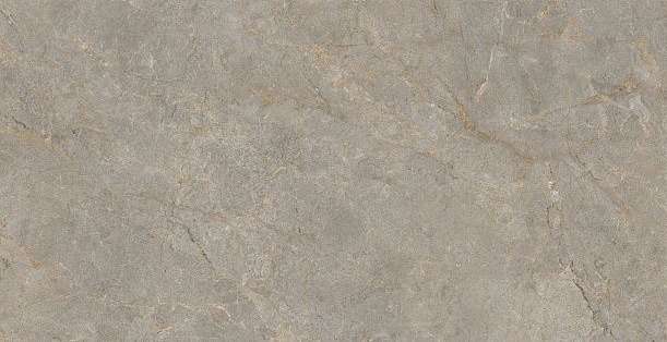 Basconi Home Root Brown Semi-Polished 60x120x9.5 ����-4