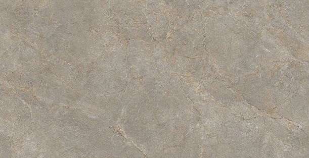 Basconi Home Root Brown Semi-Polished 60x120x9.5 ����-6