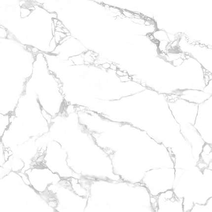 Belani Sarma G  41.8x41.8