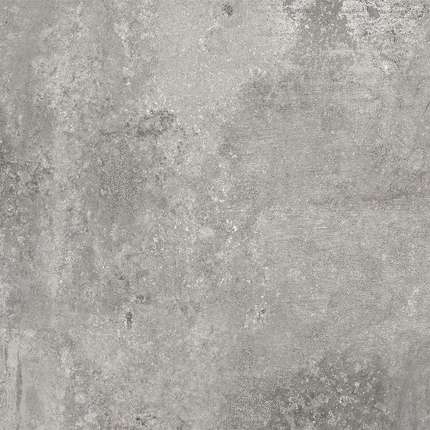 Belani Titano GP  50x50
