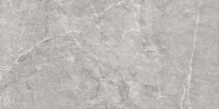 Black Rhino Concrete Ferna Cinerea Carving 60�120