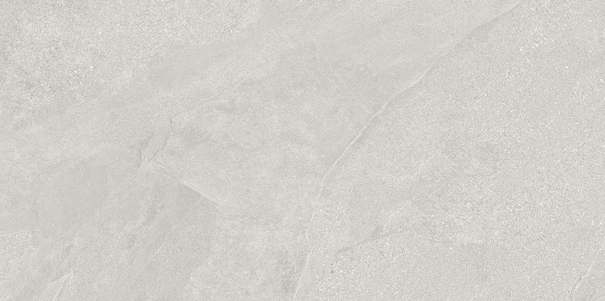 Latinos Argentum Shape Seed 60�120 (1200x600)