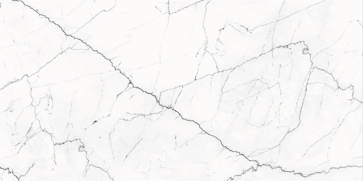 Black Rhino Marble Verminus Griseum Carving 60�120