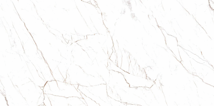 Black Rhino Marble Anzium Albus Carving 60�120