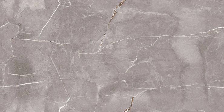 Black Rhino Marble Legacium Cinerea Glossy Ink 60�120