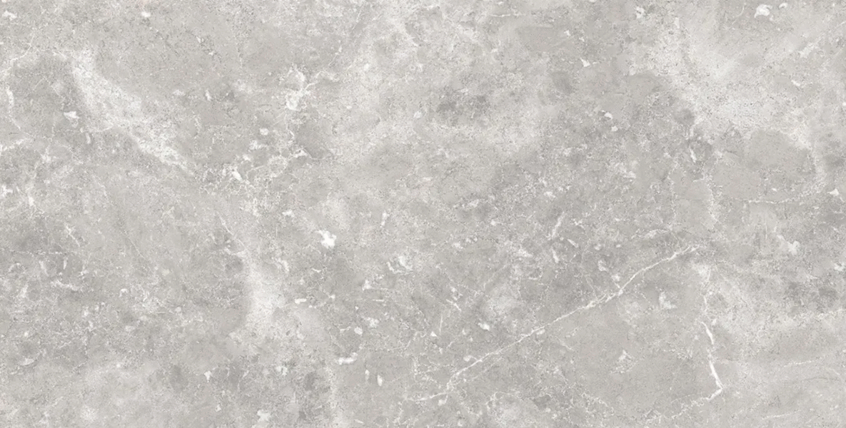 Bristol Griseum Shape Seed 60�120 (1200x600)