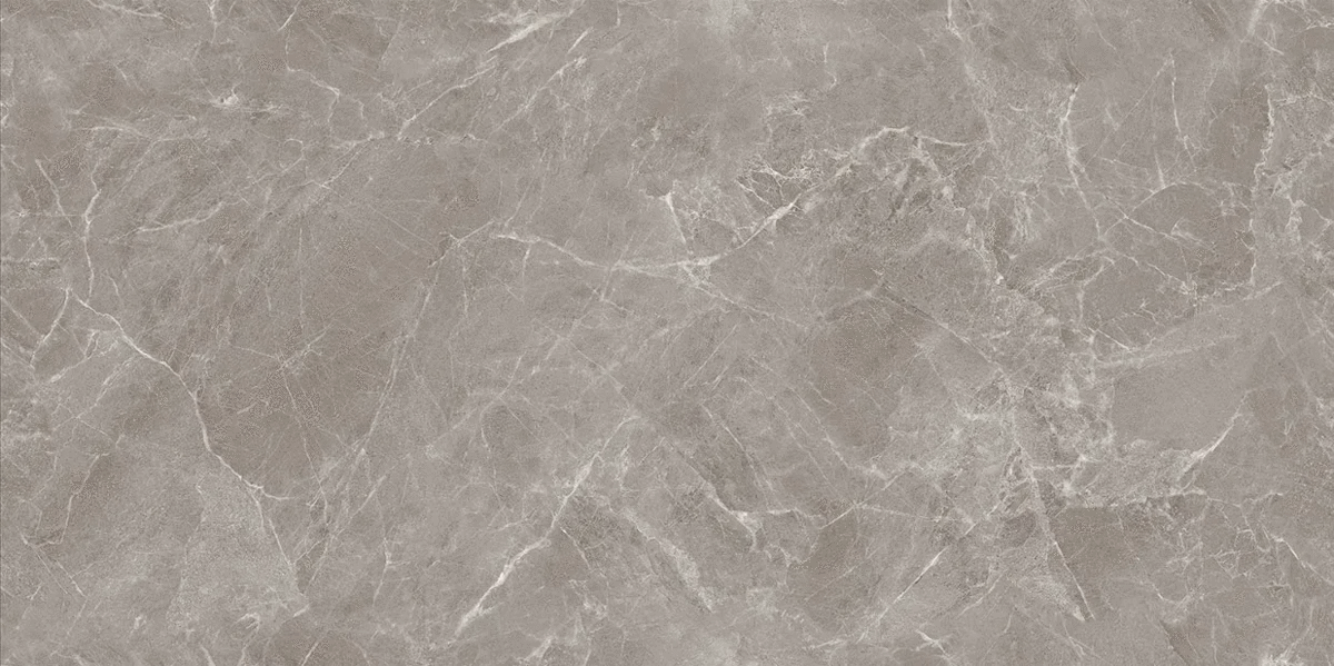 Veronas Griseum Shape Seed 60�120 (1200x600)