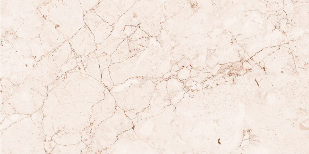 Degnas Beigum Shape Seed 60�120 (1200x600)