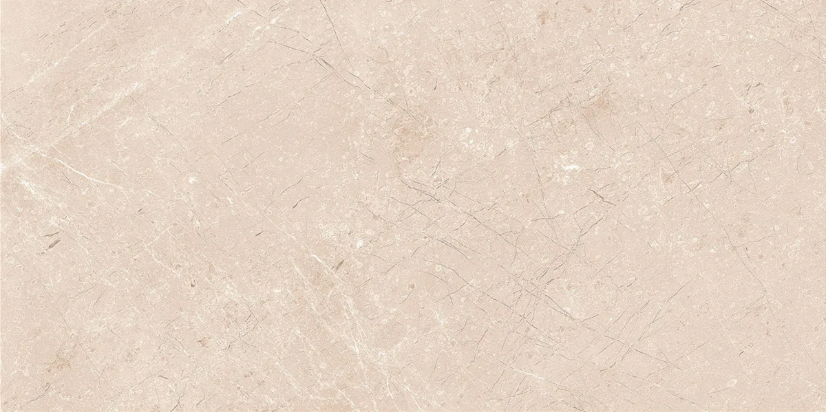 Onegas Beigum Shape Seed 60�120 (1200x600)