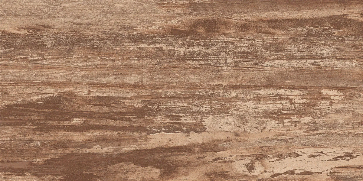 Montecus Fuscus Carving 60�120 (1200x600)