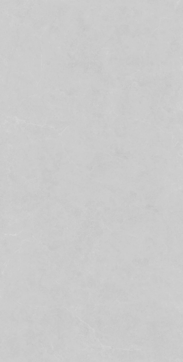 Light Grey Rect Matt 60x120 (600x1200)