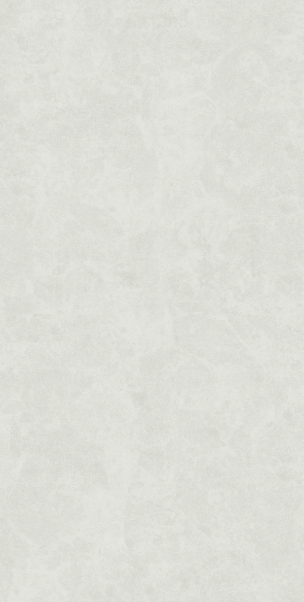 White Rect Matt 60x120 (600x1200)