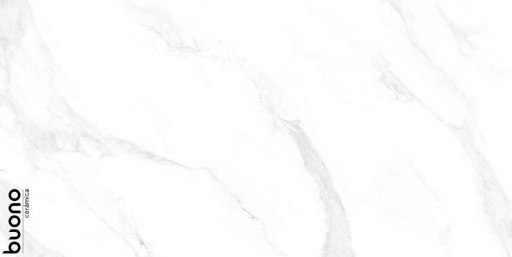 Buono Ceramica Marble Carrara Anita Glossy 60x120