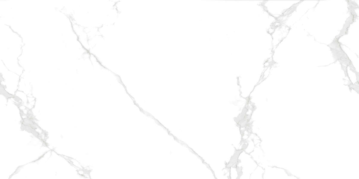 Buono Ceramica Marble Attiko Statuario Glossy Carving 60x120 -10