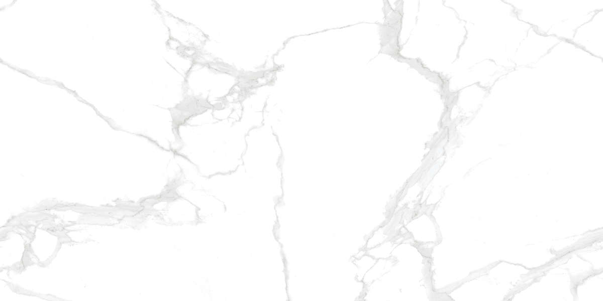 Buono Ceramica Marble Attiko Statuario Glossy Carving 60x120 -11