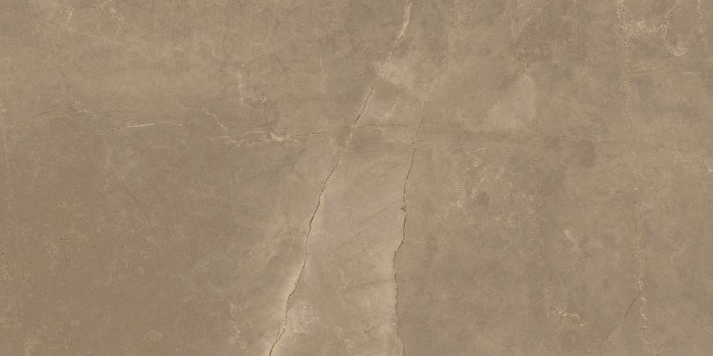 Taupe Matt 60x120 (1200x600)