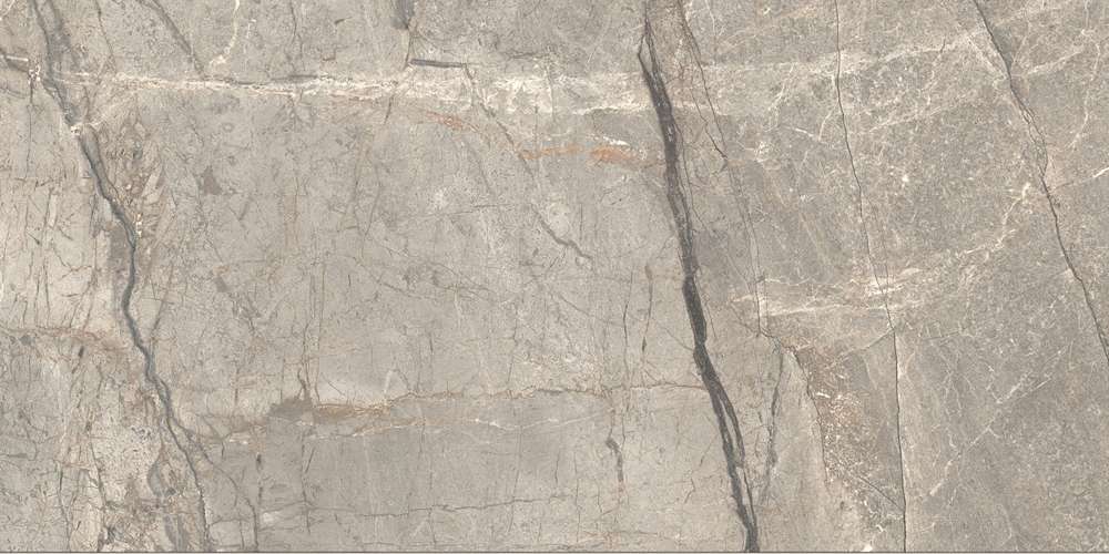 Amazing Silver Liscio Matt 60x120 (1200x600)