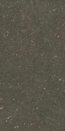 Casa Dolce Casa Rinascenza Arena Platino Matte 60x120