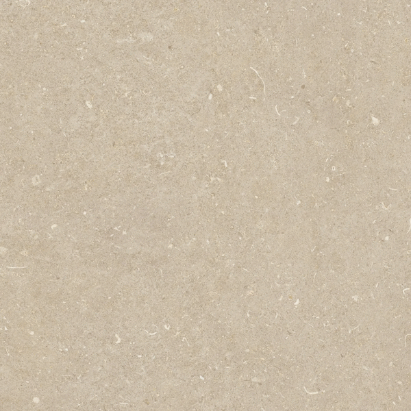 Arena Conchiglia Matte 60x60 (600x600)