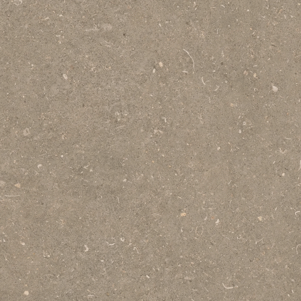 Arena Pietra Matte 60x60 (600x600)