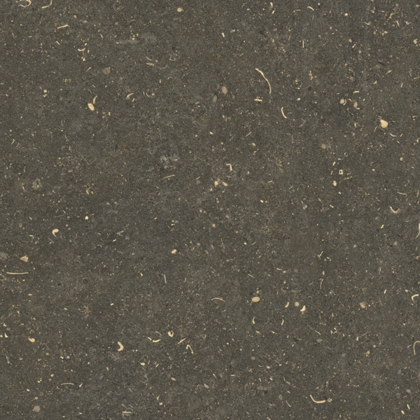 Arena Platino Matte 60x60 (600x600)