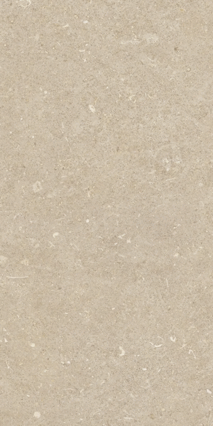 Arena Conchiglia Matte 30x60 (300x600)