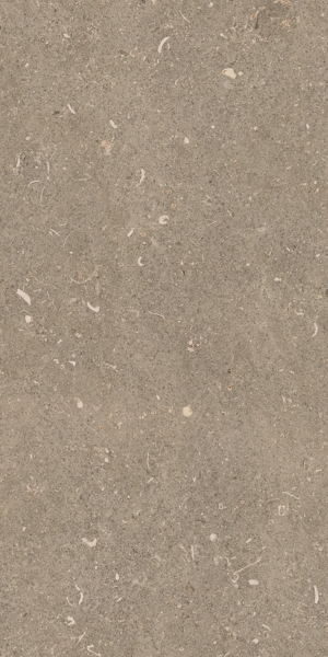 Arena Pietra Matte 30x60 (300x600)