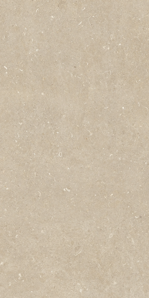 Arena Conchiglia Grip 60x120 (600x1200)