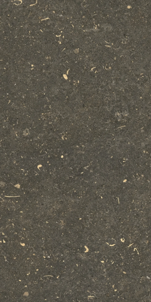 Arena Platino Grip 30x60 (300x600)