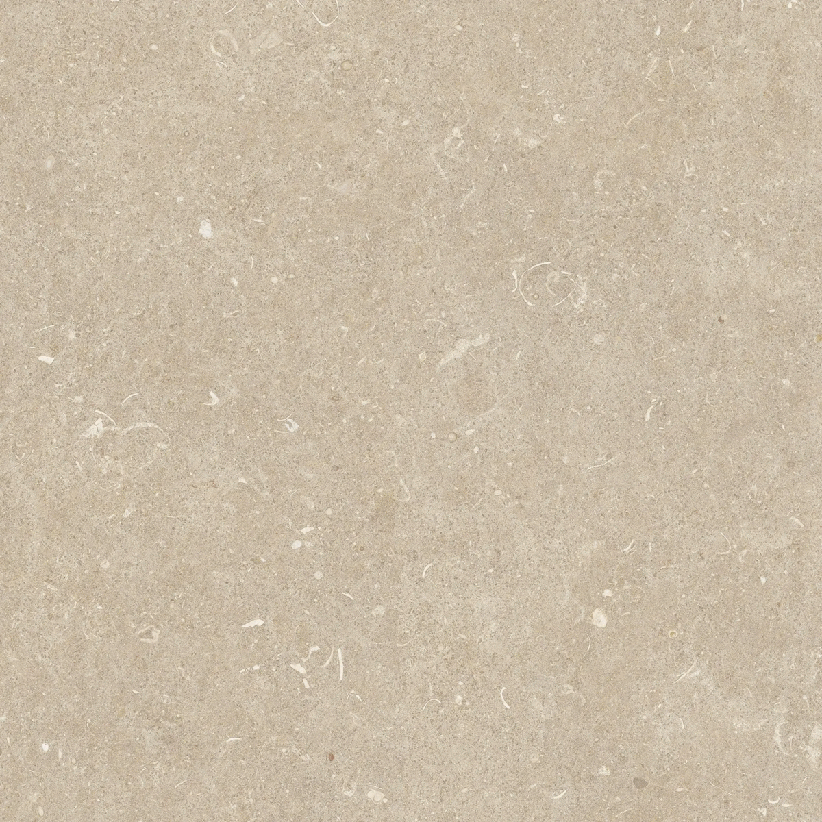 Arena Conchiglia Grip 20mm 120x120 (1200x1200)