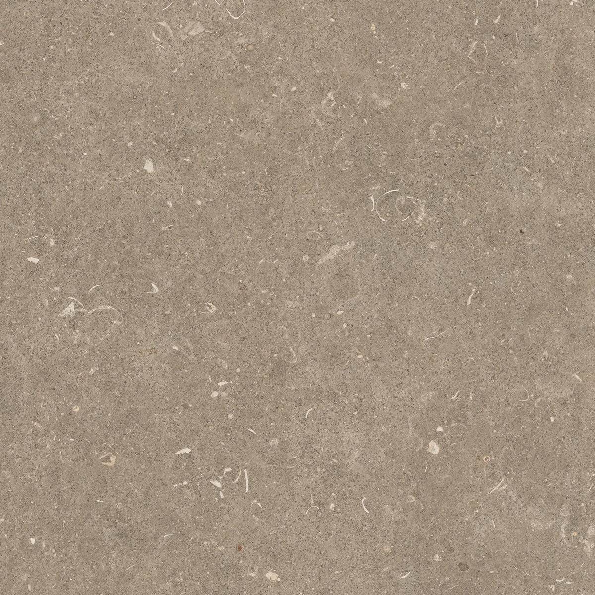 Arena Pietra Grip 20mm 120x120 (1200x1200)